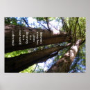 Search for john muir quote posters Woods