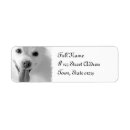 Search for pomeranian return address labels Puppy