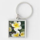 Search for frangipani keychains Tropical
