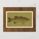 Recherche de poissons de lac cartes postales Pêche