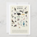 Search for funny bird cards Ornithology