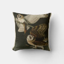 Search for barn owl pillows Tyto alba