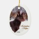 Search for the kelpies ornaments Xmas