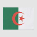 Recherche de drapeau l algérie travaux manuels fêtes Drapeaux du monde