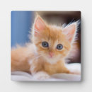 Recherche de yeux plaques Animaux domestiques