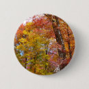 Recherche de arbre orange badges Pour tous