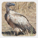 Search for bird watcher stickers Ornithology