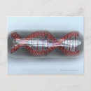 Search for capsules postcards Medicine
