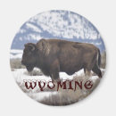 Search for wyoming Mountains