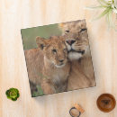 Search for mara binders Animals in the wild