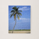 Search for florida beach puzzles Nature