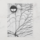 Recherche de ivy cartes postales Motif