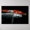 Search for two fish posters Animal