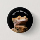 Search for wild reptile buttons Pet