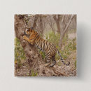 Search for bengal buttons Ranthambhor np