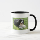Search for springer mugs Black and white