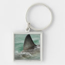 Search for risks keychains Threats