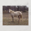 Search for maree postcards Pasture