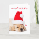 Search for yellow lab christmas cards Funny