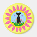 Recherche de pinscher magnets Chiot