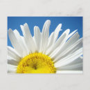 Search for tests postcards For her