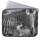 Search for grayscale Landscape