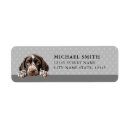 Search for german shorthair pointer return address labels Dog