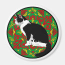 Recherche de chat de gingembre magnets Tabby