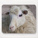 Search for sheep mousepads Animal