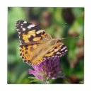 Recherche de butterfly carreaux Coloré