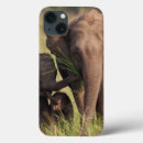 Search for asiatic elephant cases Animal