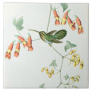 Search for hummingbird tiles Wildlife