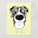 Recherche de le berger australien cartes postales Drôle