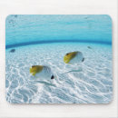 Search for fish viewing mousepads Outdoors