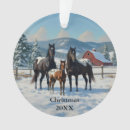 Search for appaloosa horse ornaments Horses