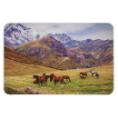 Search for georgian magnets Sakartvelo