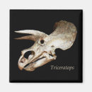 Search for paleontology magnets Skull
