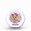Search for dog memorial photo display Elegant