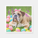 Recherche de bouledogues français serviettes Chien