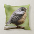 Search for robin bird pillows Photography