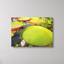 Search for pad canvas prints Lily