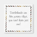 Recherche de wein magnete Chiot