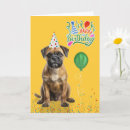 Search for border terriers cards Dogs