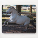 Search for andalusian electronics Equine