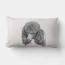 Search for standard poodle pillows Black