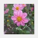 Search for stay magnets Pink