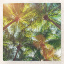 Recherche de noix coco dessous de verres Tropical