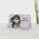 Search for bernese mountain dog christmas cards Snow