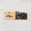 Recherche de cric cartes visite Chiot