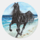 Recherche de le cheval arabe autocollants Étalon